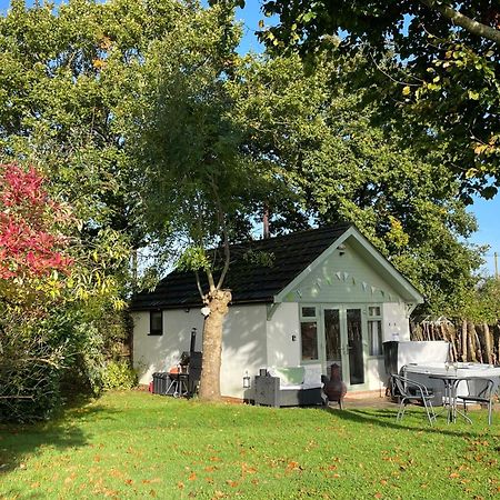 Pheasant Lodge Wimborne Minster Kültér fotó
